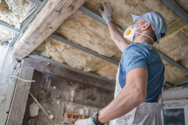 Best Best Insulation Companies  in Untain Grove, MO