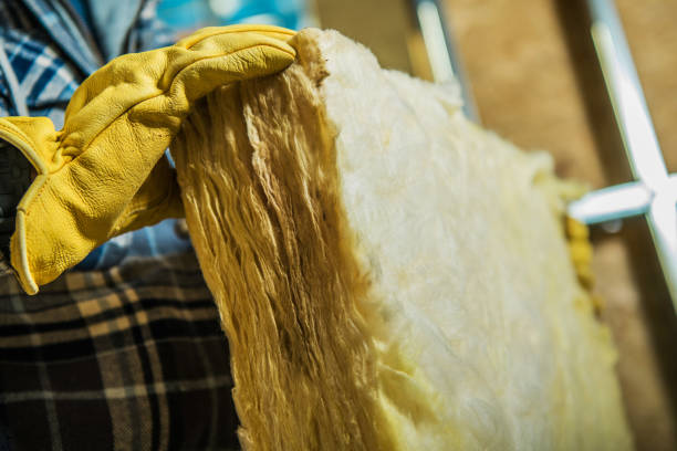 Best Insulation Removal  in Untain Grove, MO