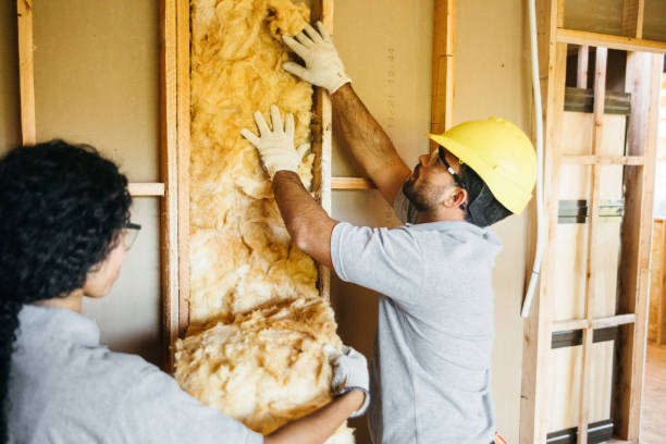 Professional Insulation Contractor in Mountain Grove, MO