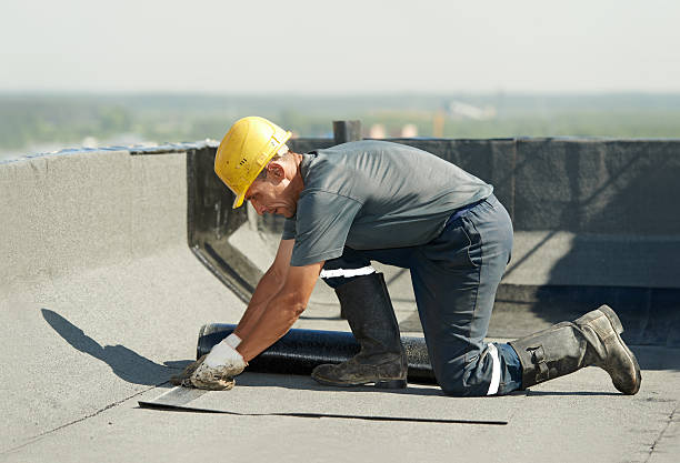 Best Insulation Contractors for Homes  in Untain Grove, MO