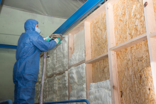 Best Spray Foam Insulation  in Untain Grove, MO