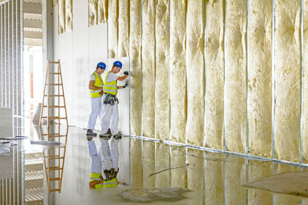 Best Garage Insulation Installation  in Untain Grove, MO